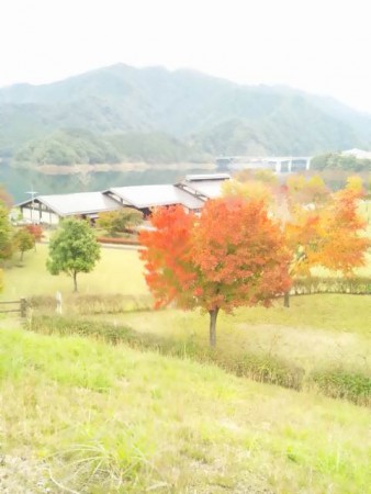 自然から気づかされること